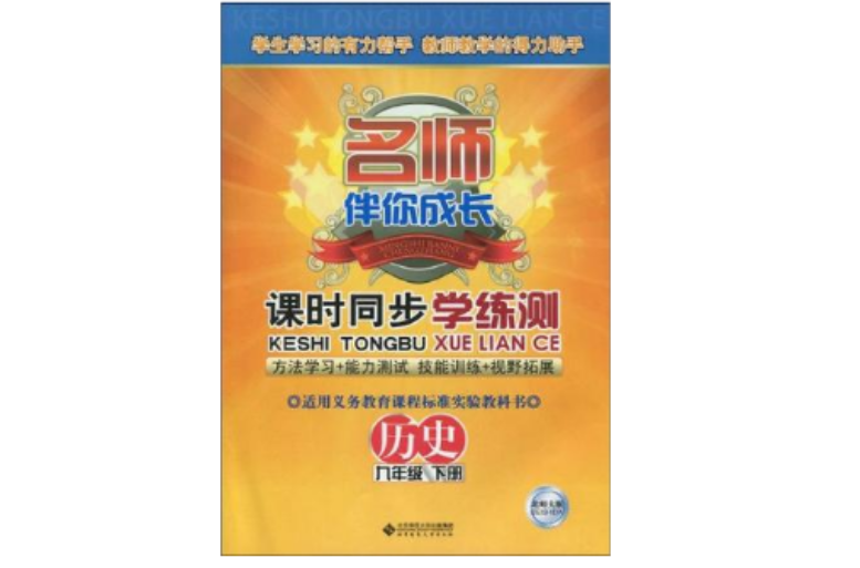 名師伴你成長/課時同步學練測（九年級下冊）