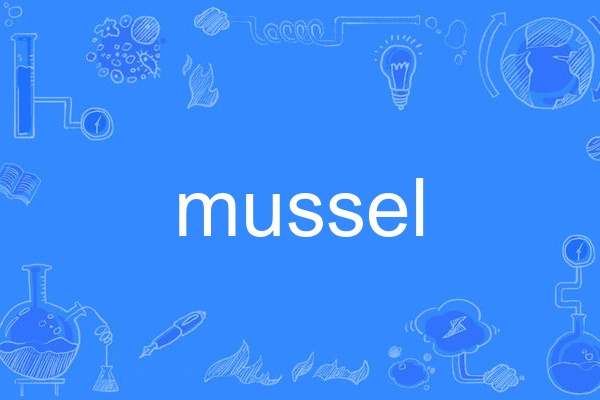 mussel