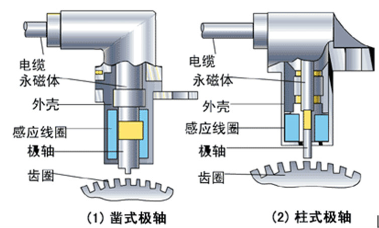 圖4  磁電式輪速感測器極軸形狀