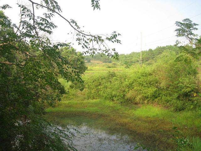 湖塘村(浙江寧波市北侖區新碶街道下轄村)