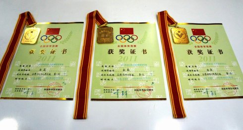 2011石家莊全國跆拳道冠軍賽金牌