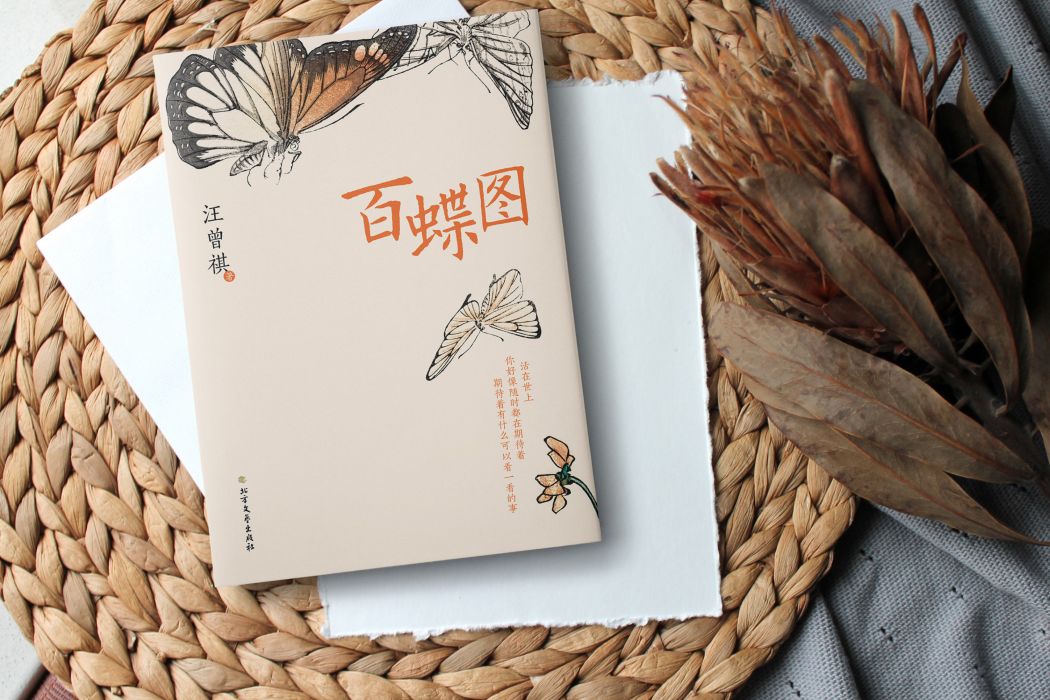 百蝶圖(汪曾祺的文學書)