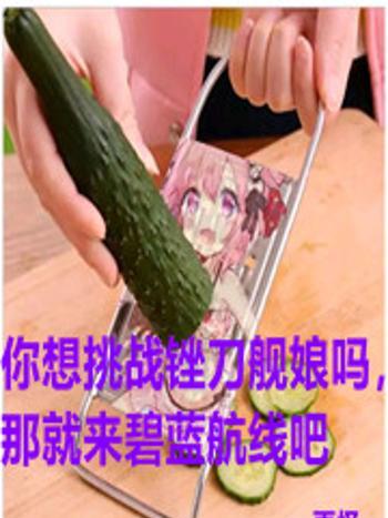 艦娘之驚天秘密