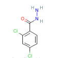 2,4-二氯苯甲醯肼
