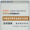 2009年中級經濟師專業知識與實務應試指南