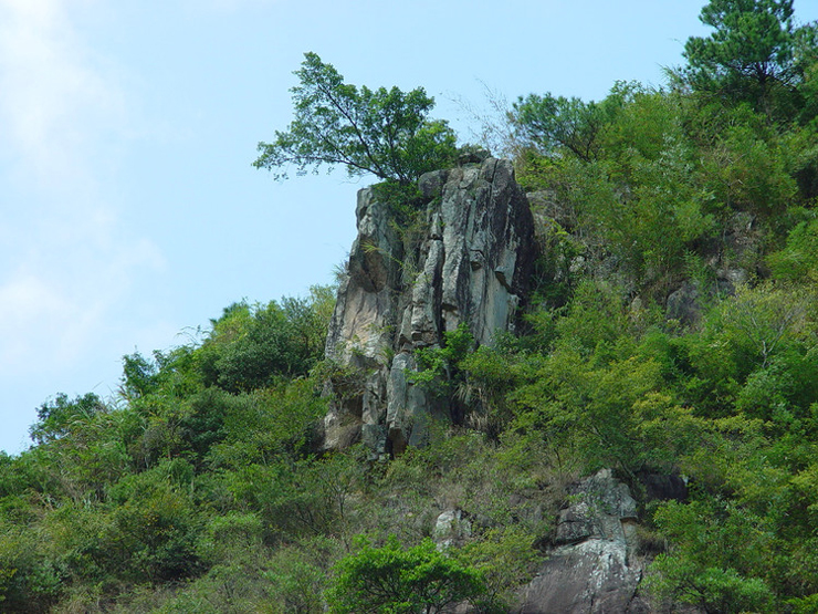 莆田大蜚山省級森林公園