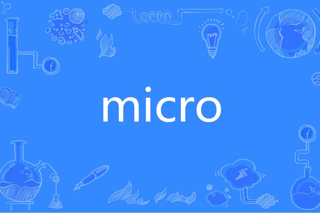 micro(英語單詞)