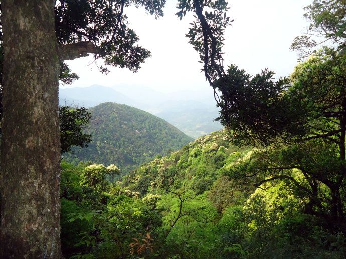 軍峰山(國家森林公園)