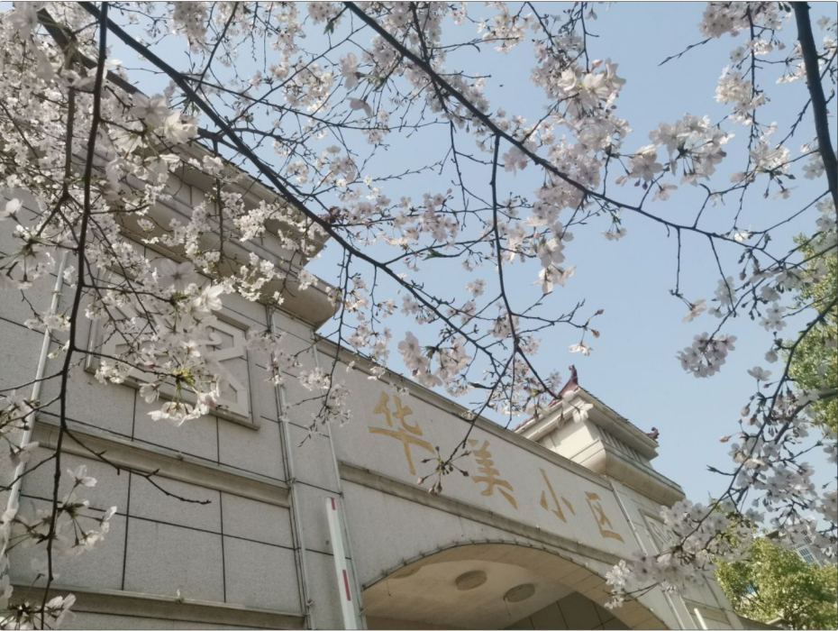 華美小區(湖北省潛江市廣華寺街道廣王路1號的小區)