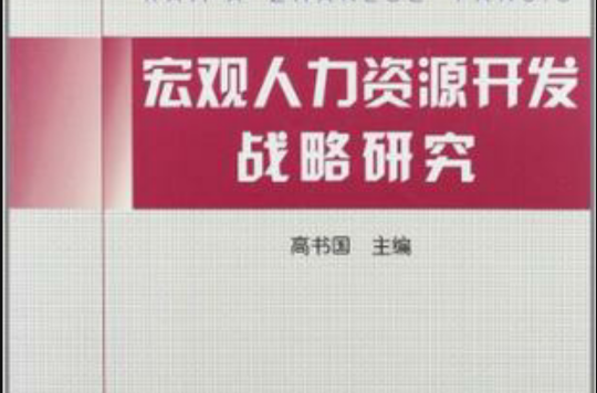 巨觀人力資源開發戰略研究