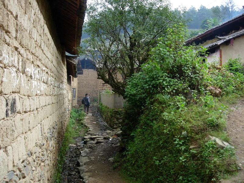 雲南省雙柏縣鄂嘉鎮紅山村委會油榨房村道路