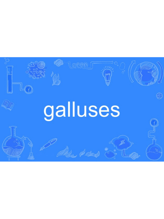 galluses