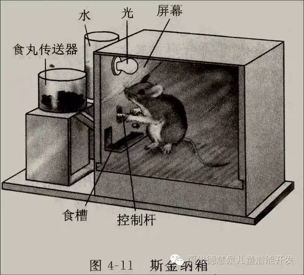 及時強化