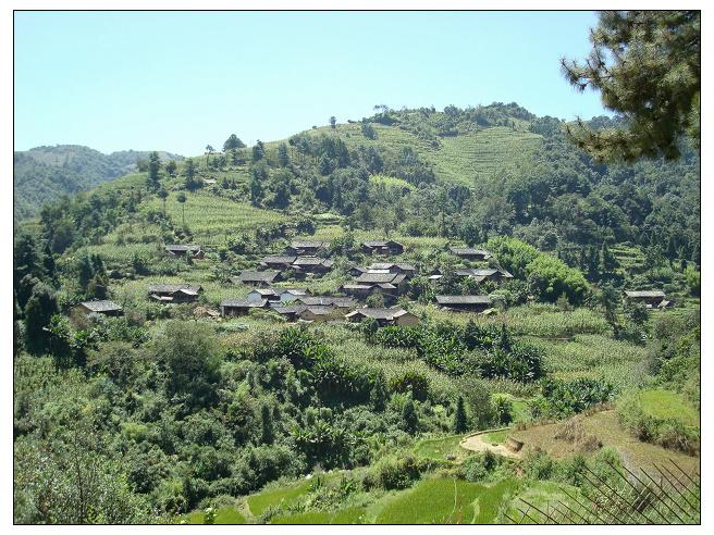 大硝河村