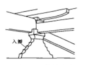 掐瓣駝峰