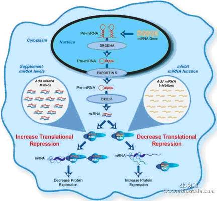 mrna