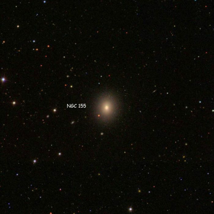 NGC 155