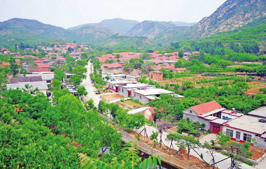 拔山村(重慶市忠縣拔山鎮拔山村)