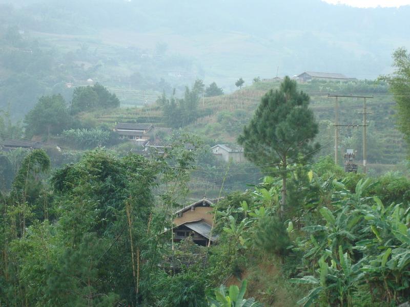 柳樹田村(雲南景東縣太忠鄉下轄村)