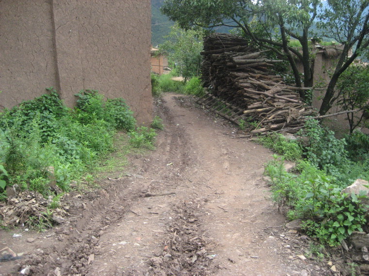 村內道路