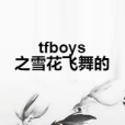 tfboys之雪花飛舞的