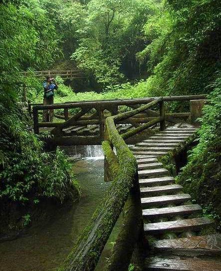 響水龍村