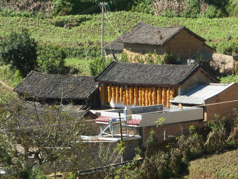 跑馬場自然村