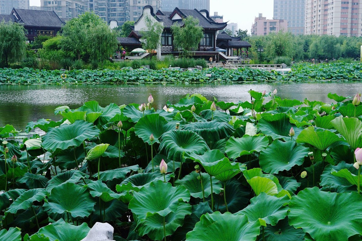 武昌沙湖公園