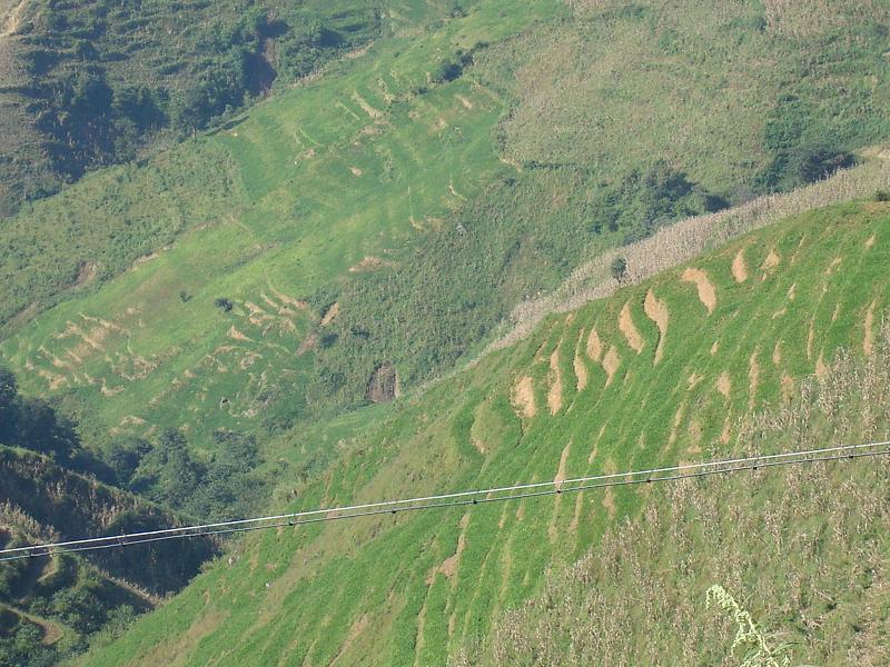 大踏山自然村