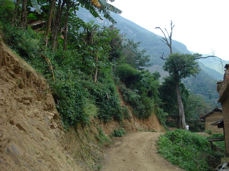 進村道路