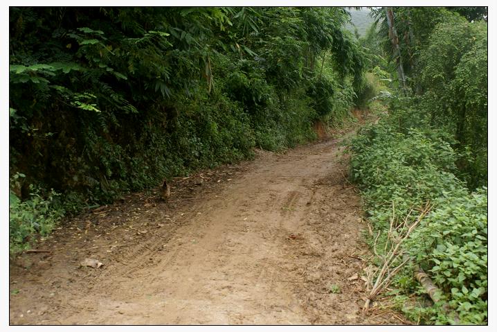 白花樹自然村(雲南省保山龍陵縣碧寨鄉白花樹自然村)