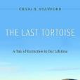 The Last Tortoise