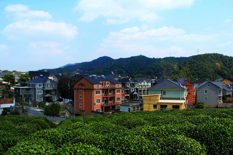 外桐塢村