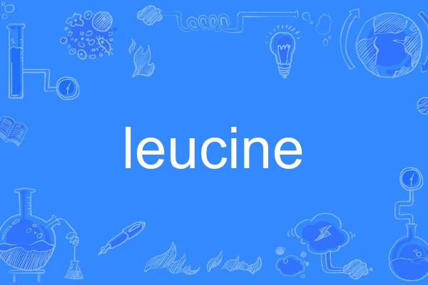 leucine