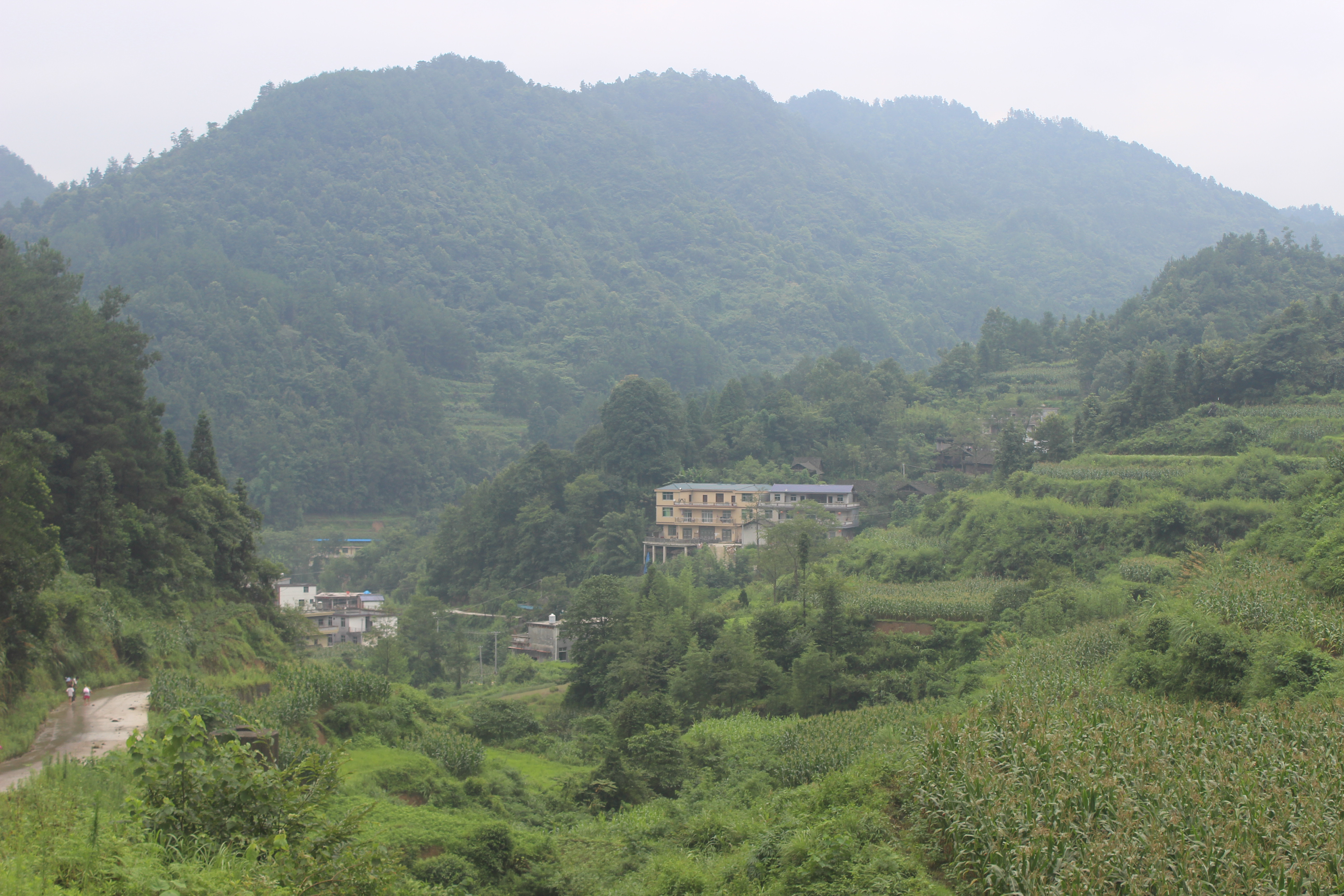 團結村(湖南省張家界市桑植縣廖家村鎮下轄建制村)