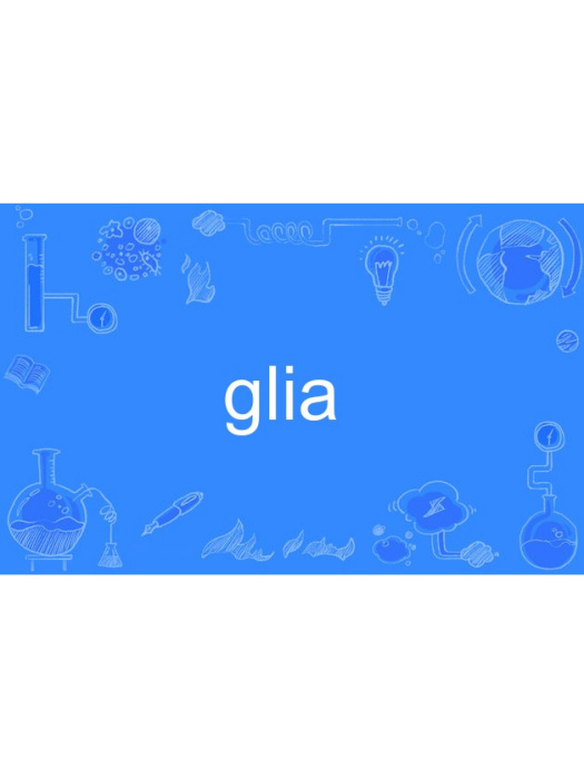 glia(英語單詞)