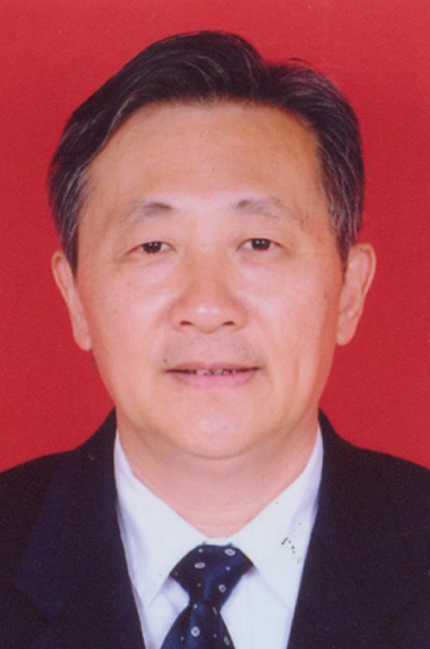 王寧生(廣州中醫藥大學副校長)