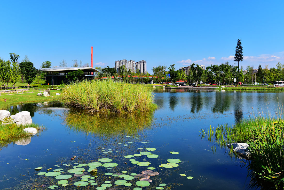 新江灘公園