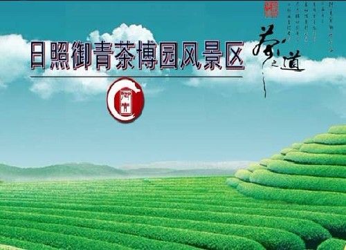 日照御青茶博園風景區