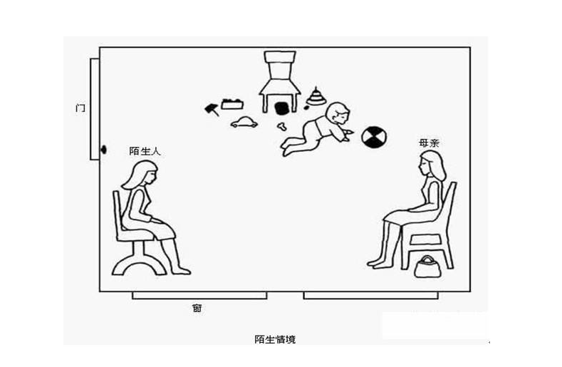 C型依戀