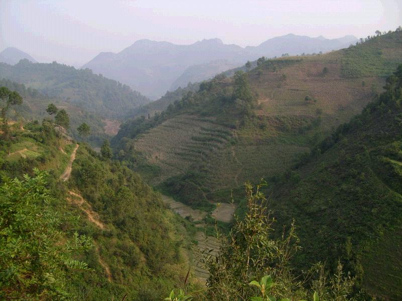 村中田園山野