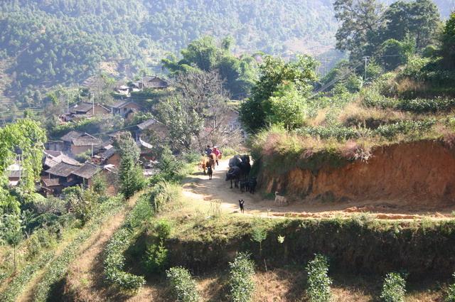 道回龍自然村