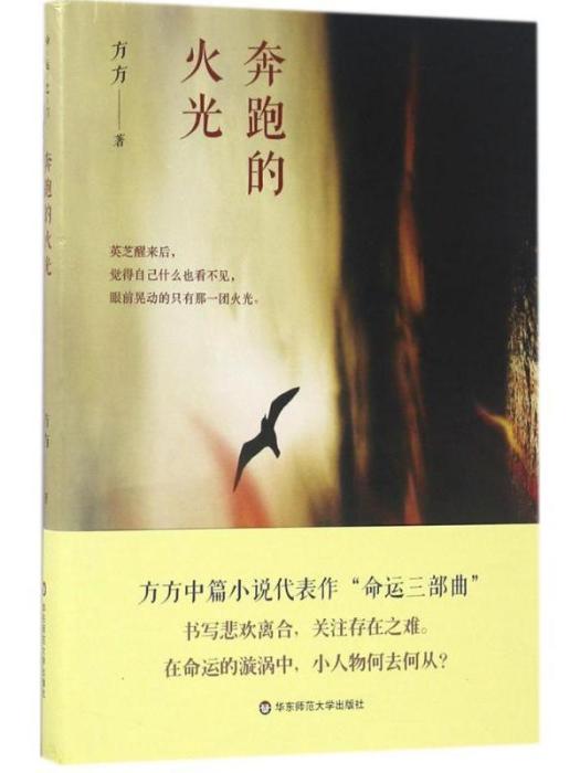 奔跑的火光(方方著中篇小說)