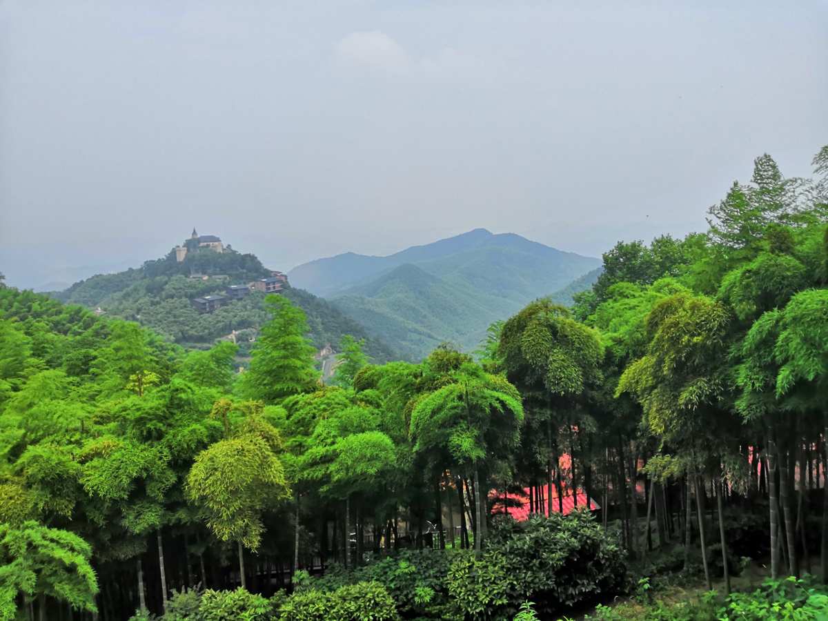 浙江德清莫乾山森林公園