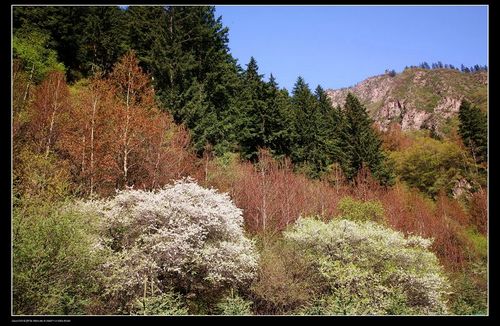 馬銜山景區