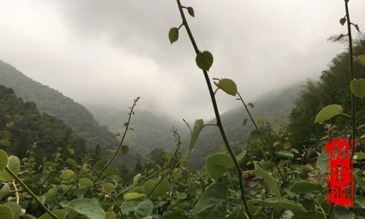 歸雲山莊