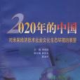 2020年的中國