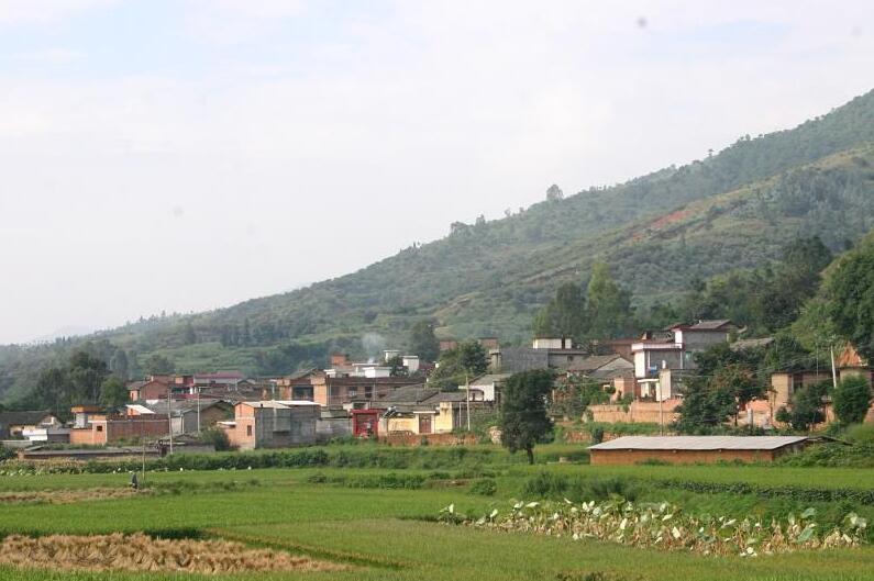 張官營村(雲南省昆明市宜良縣南羊鎮張官營村)