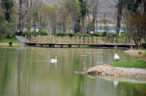 濕地公園工程案例