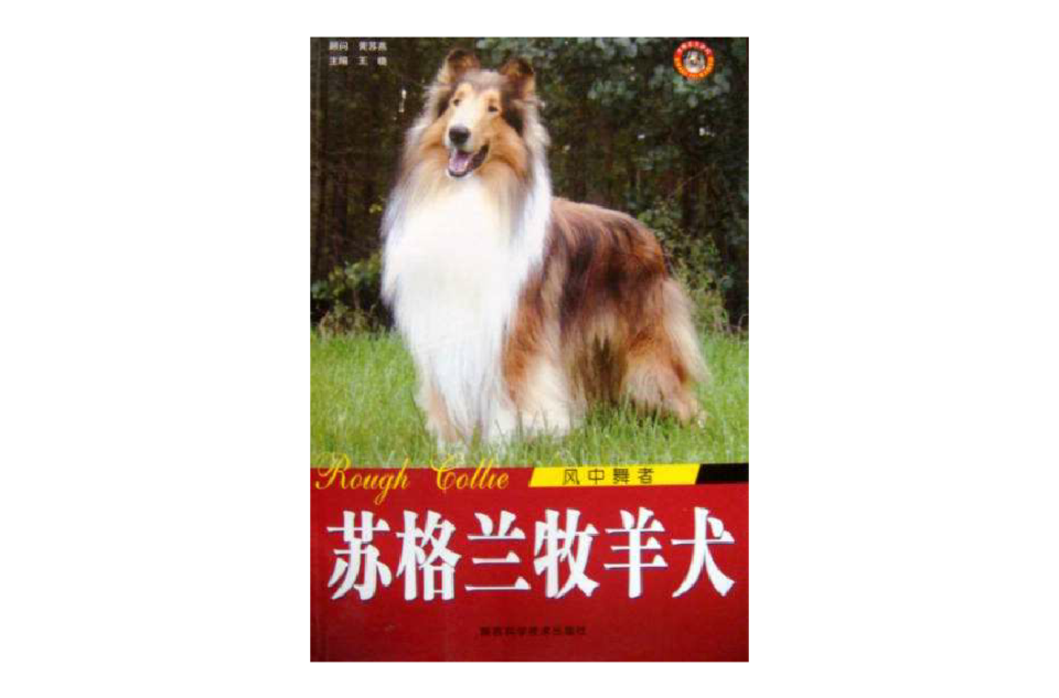 風中舞者：蘇格蘭牧羊犬